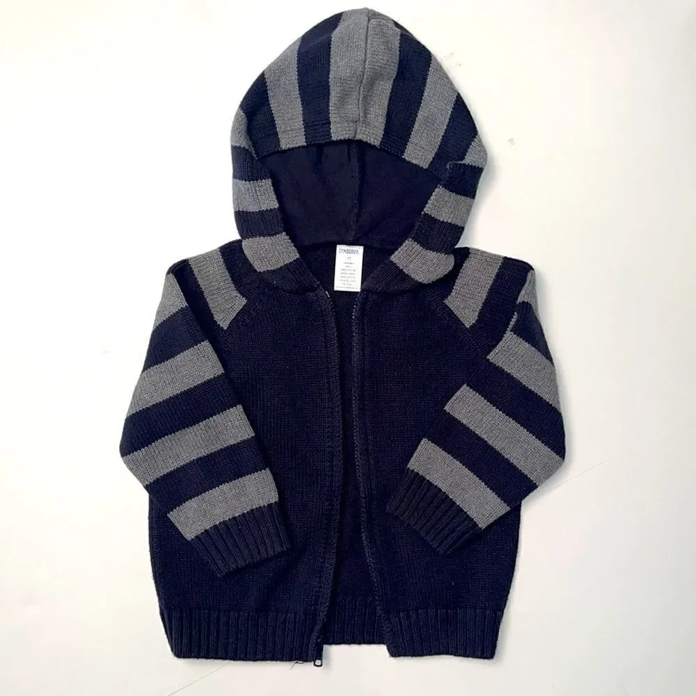 Gymboree Gray‎ Lined Pants and Gray/Navy Zip Up Hoodie 2T